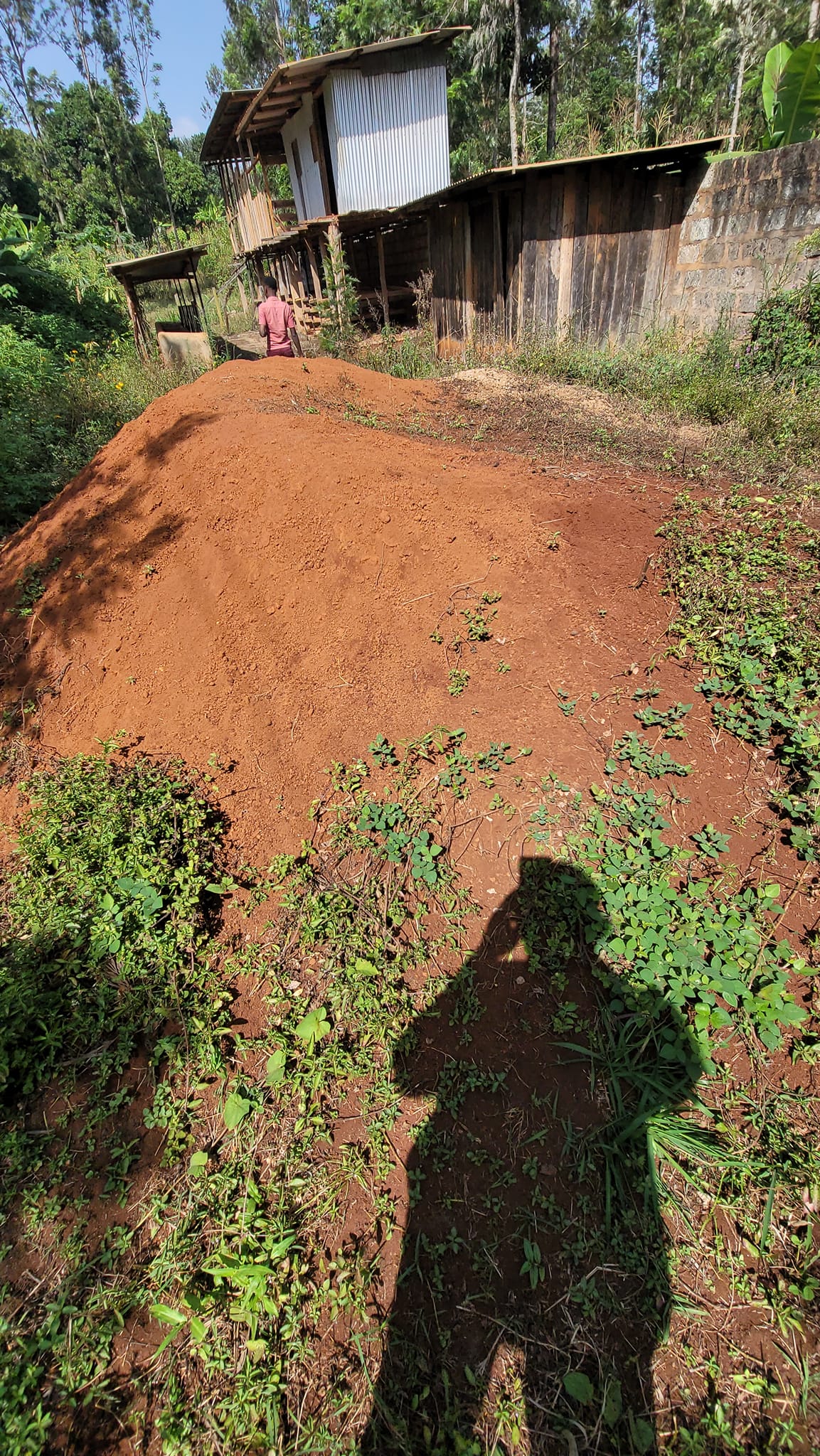 Half-Acre Plot of Land for Sale in Mutuguni Area Tharaka Nithi